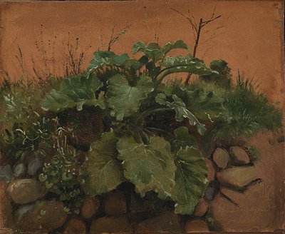 Una Bardana y Otras Plantas en un Muro de Piedra de Johan Thomas Lundbye