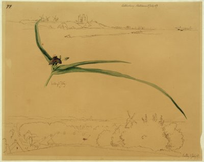 Vista de Kalundborg y estudio de una flor de tres mástiles de Johan Thomas Lundbye