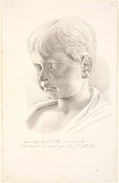 Cabeza de Británico. 3/4 perfil hacia la izquierda de Johan Thomas Lundbye