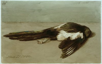 Una urraca muerta de Johan Thomas Lundbye