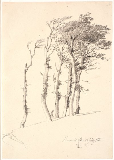 Grupo de árboles azotados por el viento de Johan Thomas Lundbye