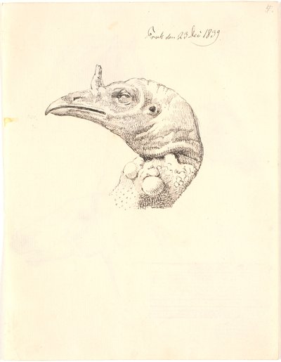 Cabeza de una pava muerta de Johan Thomas Lundbye