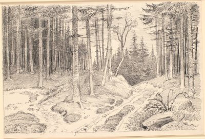 Camino hueco a través de un bosque de abetos de Johan Thomas Lundbye