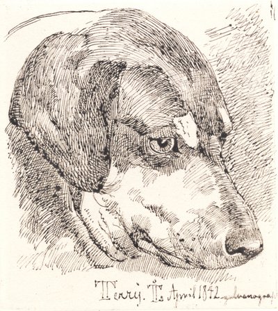Cabeza de perro, Terry de Johan Thomas Lundbye
