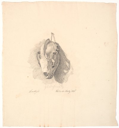 Cráneo de perro de Johan Thomas Lundbye