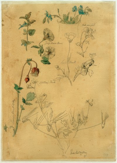 J. Th. Lundbye, Estudio de plantas de Johan Thomas Lundbye