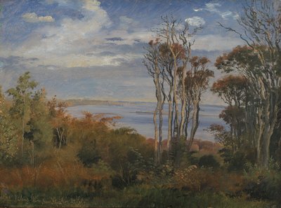 Bosque de Kolås. Vejrhøj de Johan Thomas Lundbye