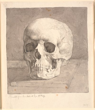 Cráneo, visto de frente de Johan Thomas Lundbye
