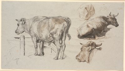 Estudios de Ganado. A la izquierda, el toro Grev Geert de Johan Thomas Lundbye