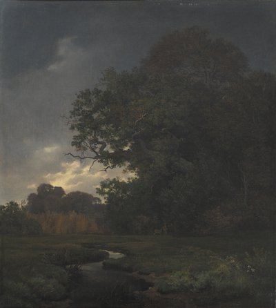 Paisaje en clima nublado. Tarde de Johan Thomas Lundbye