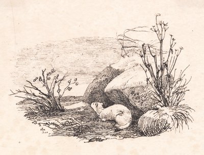 El armiño de Johan Thomas Lundbye