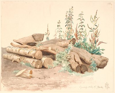Algunos troncos de árboles caídos, un abrevadero y varias plantas de Johan Thomas Lundbye