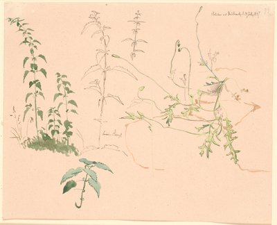 Estudios de plantas de Johan Thomas Lundbye