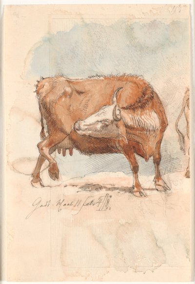Vaca roja lamiendo su muslo derecho de Johan Thomas Lundbye