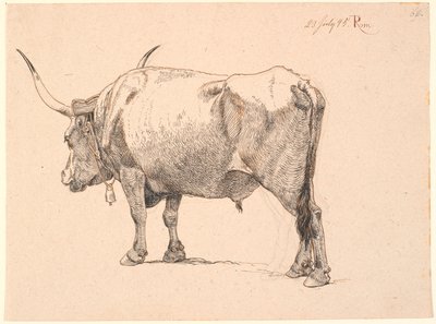 Toro romano con campana en el cuello, visto desde atrás de Johan Thomas Lundbye