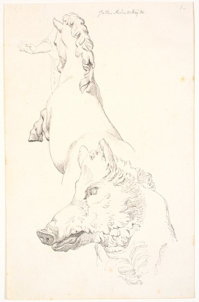 Estudio de esculturas antiguas: Cabeza de jabalí, torso de un caballo encabritado visto desde atrás y un brazo con drapeado de Johan Thomas Lundbye