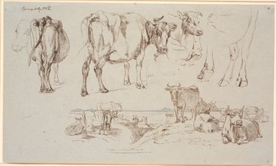 Hoja de estudio de Vognserup. Arriba, estudios de vacas, paisaje con vacas de pie y acostadas de Johan Thomas Lundbye