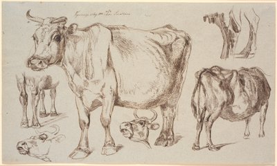 Hoja de estudio de Vognserup. Diferentes estudios de una vaca de Johan Thomas Lundbye