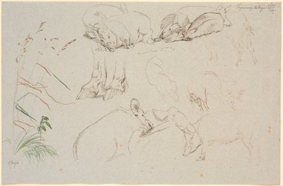 Hoja de estudio de Vognserup. Varios estudios de cerdos. Un estudio de un par de cascos de caballo. Un estudio de una cabeza de perro y un estudio de hierba de Johan Thomas Lundbye