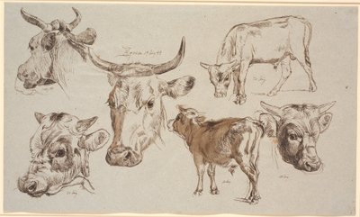 Hoja de estudio de Vognserup. Estudios de cabezas de vacas, terneros y sus cabezas de Johan Thomas Lundbye