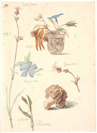 Hoja de estudio con flores y plantas de Johan Thomas Lundbye