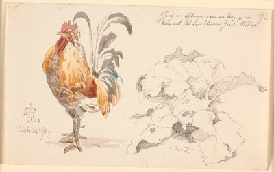Hoja de estudio con un gallo y una planta de acedera de Johan Thomas Lundbye