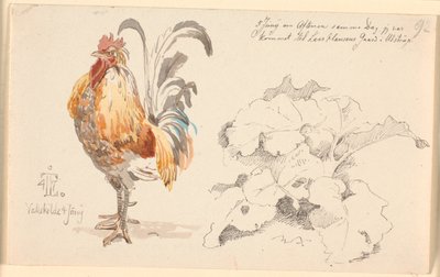 Hoja de estudio con un gallo y una planta de acedera de Johan Thomas Lundbye