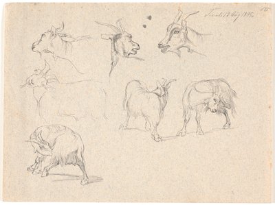 Estudios de cabras de Johan Thomas Lundbye