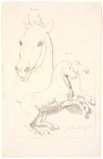Estudios de esculturas antiguas. Arriba una cabeza de caballo, abajo un relieve con dos caballos de Johan Thomas Lundbye