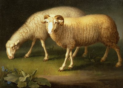 Un carnero y una oveja (óleo sobre lienzo) de Johan Wenzel Peter