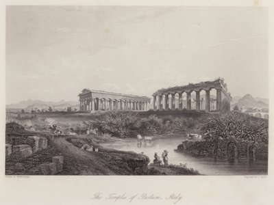 Los templos de Paestum, Italia de Johan Wolfensberger