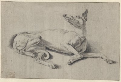 Galgo reclinado de Johan le Ducq (possibly)