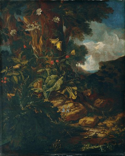 Paisaje con reptiles e insectos (II) de Johann Adalbert Angermayer