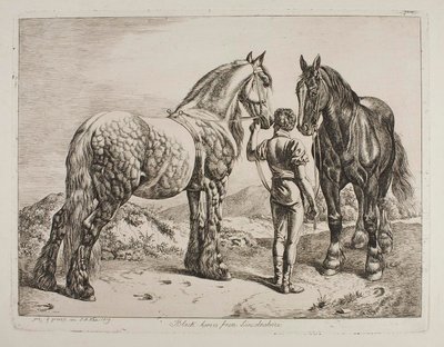  de Johann Adam Klein
