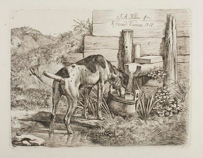  de Johann Adam Klein