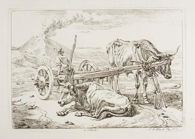En Nápoles (bueyes y una carreta en Nápoles) de Johann Adam Klein