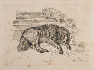  de Johann Adam Klein