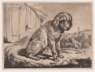 Perro sentado de Johann Adam Klein