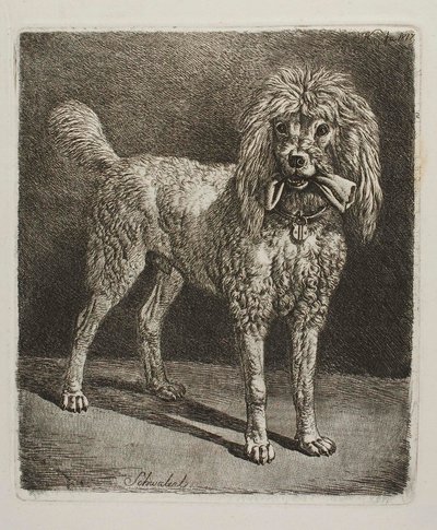  de Johann Adam Klein