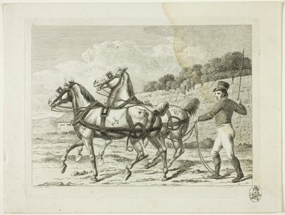 Escuela de equitación y caballos de Johann Adolph Darnstedt