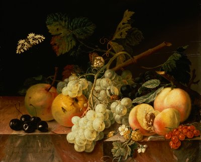 Fruta en un canto de mármol con mariposas, caracol y oruga (óleo sobre lienzo) de Johann Amandus Wink