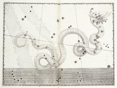 Constelación de Serpens Caput y Serpens Cauda, c.1603 de Johann Bayer
