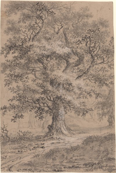 Un roble frondoso junto a un sendero en el bosque de Johann Caspar Huber