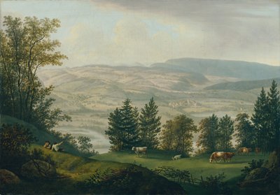 Entorno de las ruinas de los Habsburgo de Johann Caspar Rahn