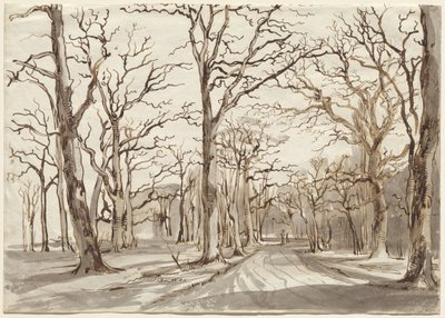 Un sendero en el bosque en Rosenthal en invierno de Johann Christian Reinhart