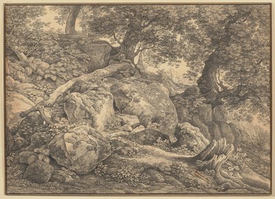 Ladera con peñascos y olivos en el parque de los príncipes Chigi en Ariccia de Johann Christian Reinhart