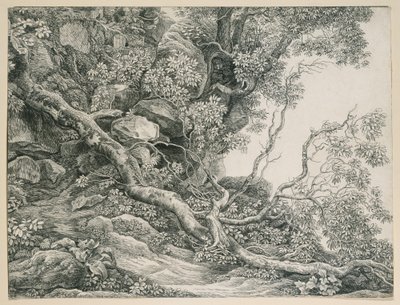  de Johann Christian Reinhart