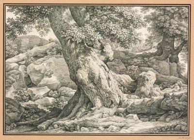  de Johann Christian Reinhart