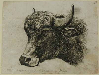 Cabeza de búfalo mirando a la izquierda, de Die Zweite Thierfolge de Johann Christian Reinhart