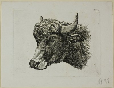Cabeza de búfalo mirando a la izquierda, de Die Zweite Thierfolge de Johann Christian Reinhart